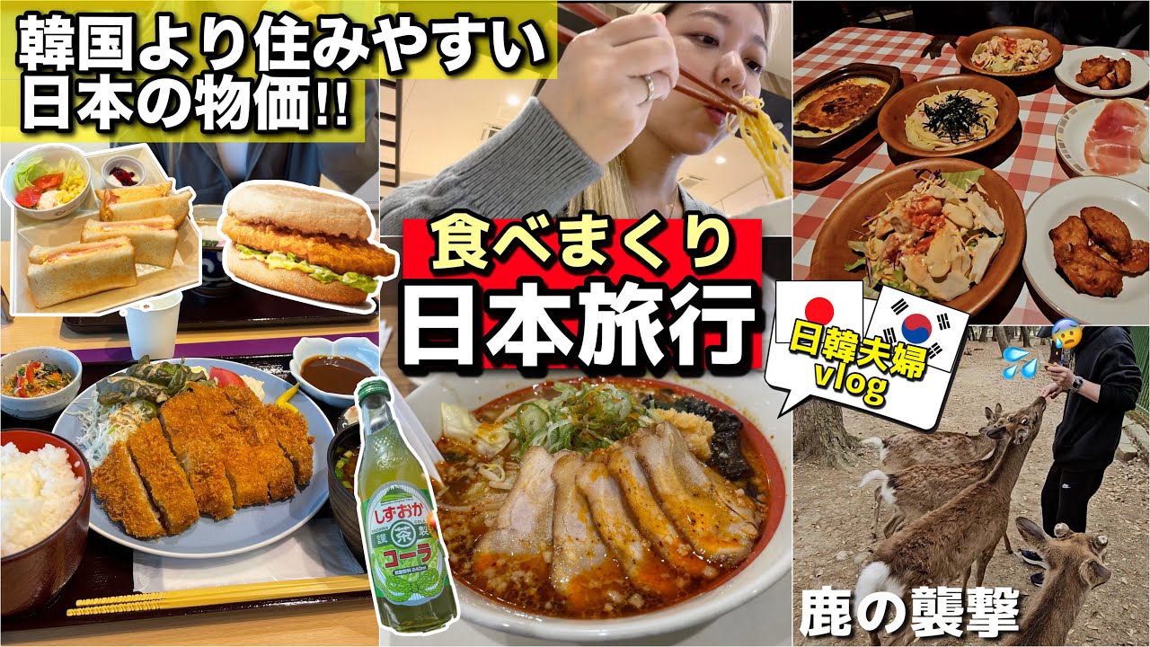【日韓夫婦vlog】韓国より住みやすい日本の物価！鹿の襲撃・爆食い食べ過ぎ(ラーメン×2・サイゼリア・激安モーニング・とろろきしめん・味噌カツ・お茶コーラ・マック・パン屋)日本旅行 【モッパン】