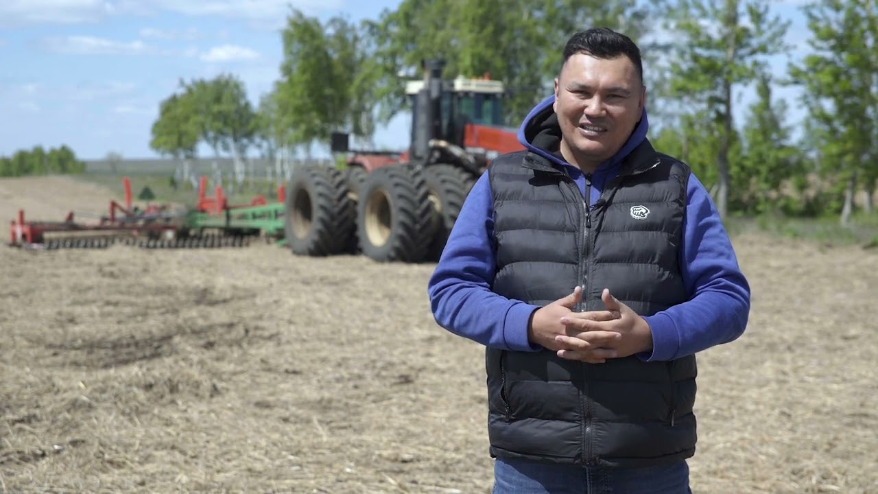 Пшеница ушла в зиму. Работа Борс-9 весной