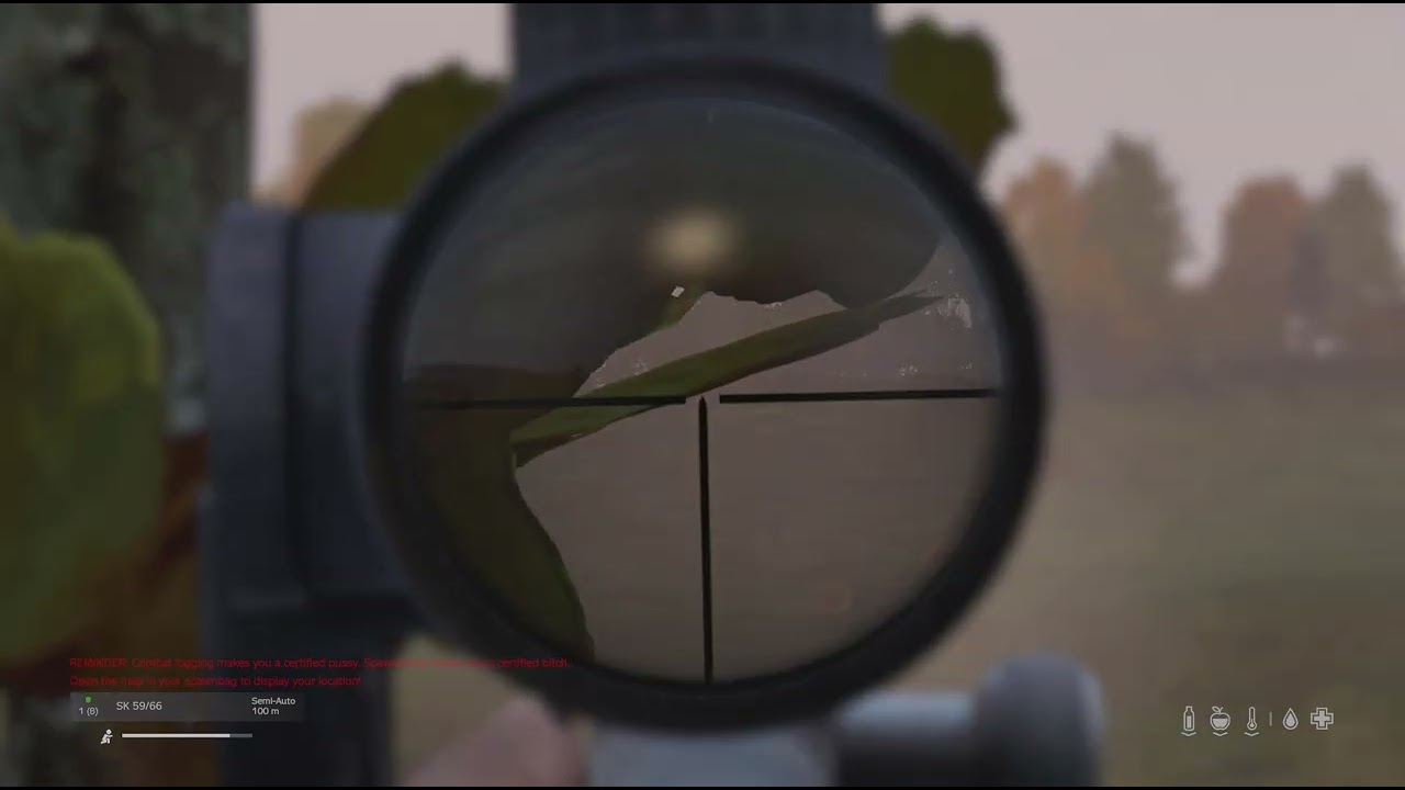 DayZ_sks fail