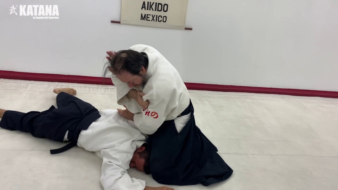 MICHAEL MORENO, AIKIDO AL LIMITE, Video Reseña Seminario YUUWA