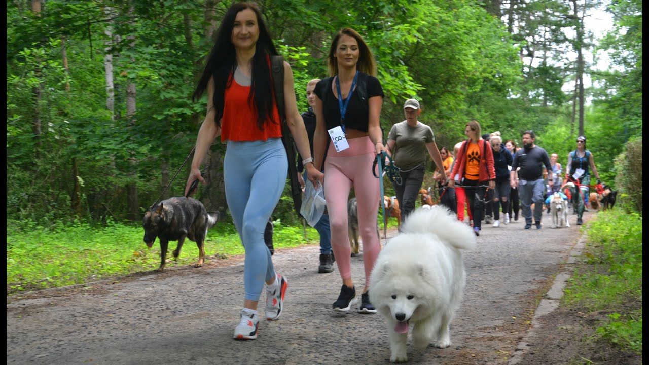 Kołobrzeski Dogtrekking 2022