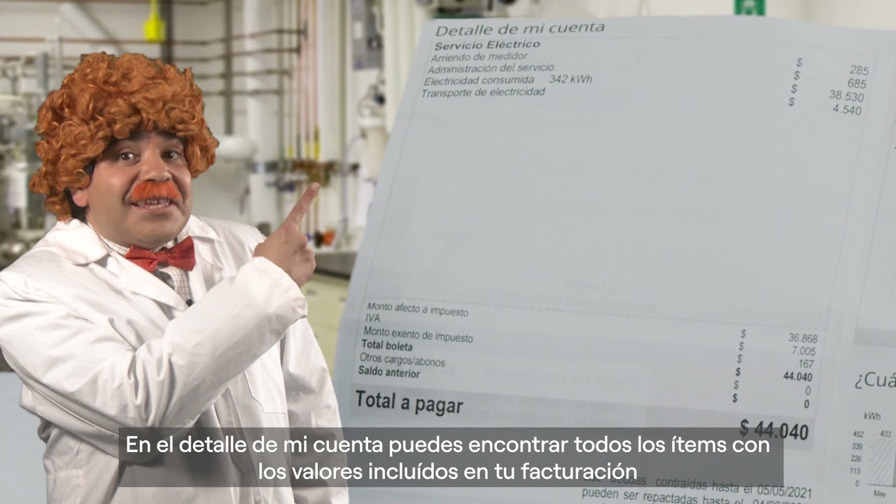 El Profesor Salomón te explica tu boleta Enel