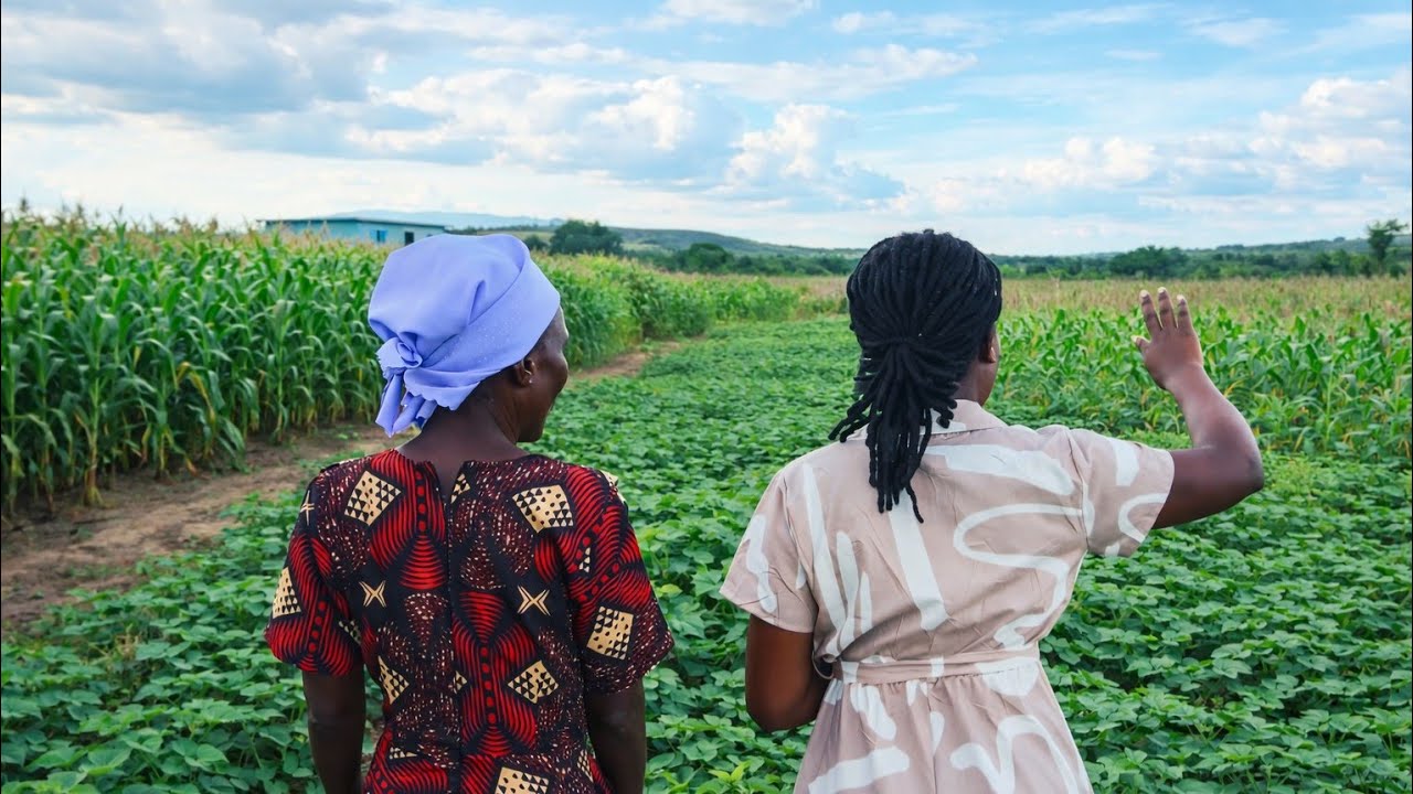 Showing Mama around at our farm plot in Marondera Zimbabwe 🇿🇼 