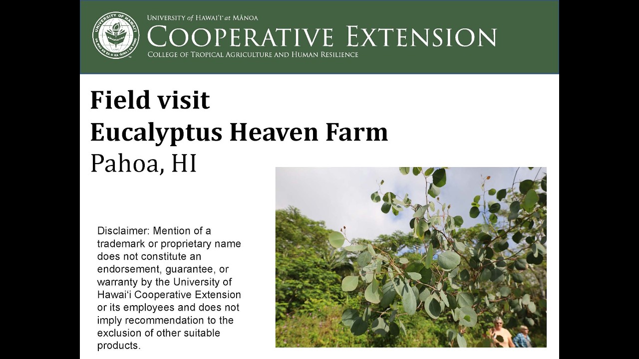 Tour of  Eucalyptus Heaven Farm in Pahoa - HTFC Import Replacement Plants Conference