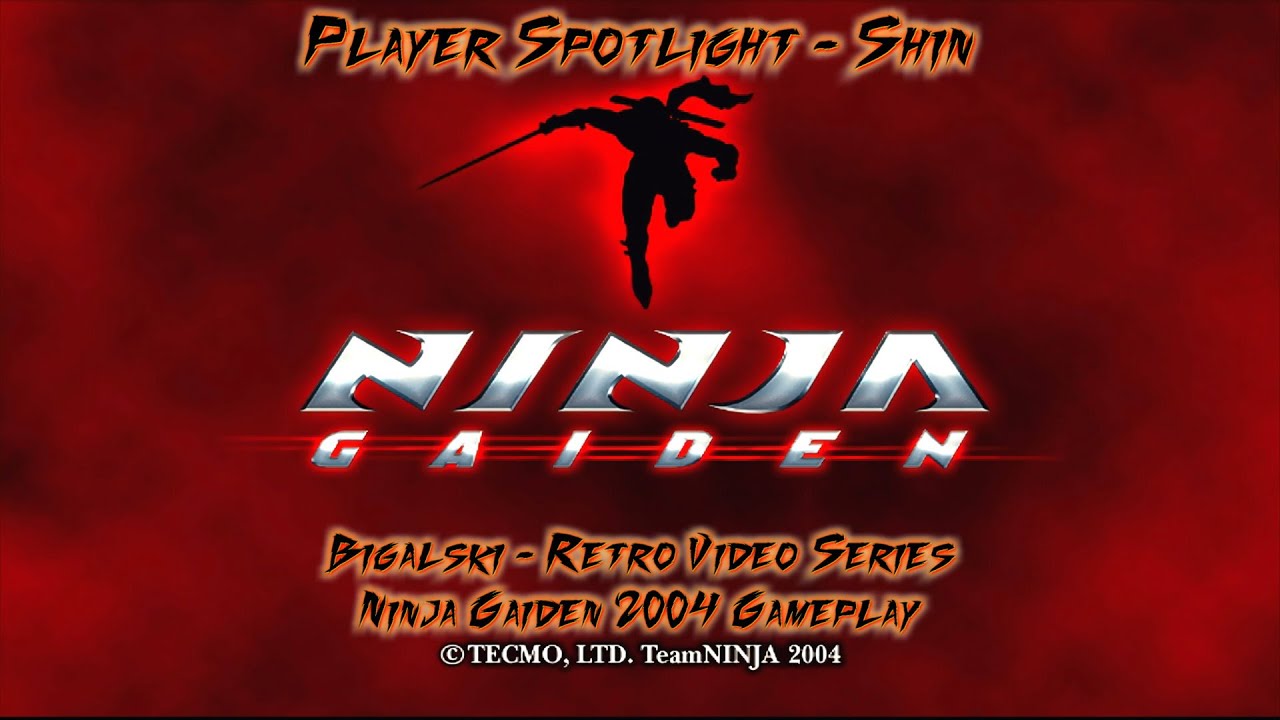 Ninja Gaiden 2004 Retro Series - Player Spotlight - Shin