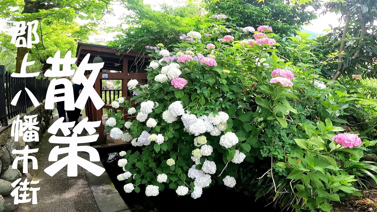岐阜観光スポット　#郡上八幡散策　tourist spots　#おすすめ　#観光