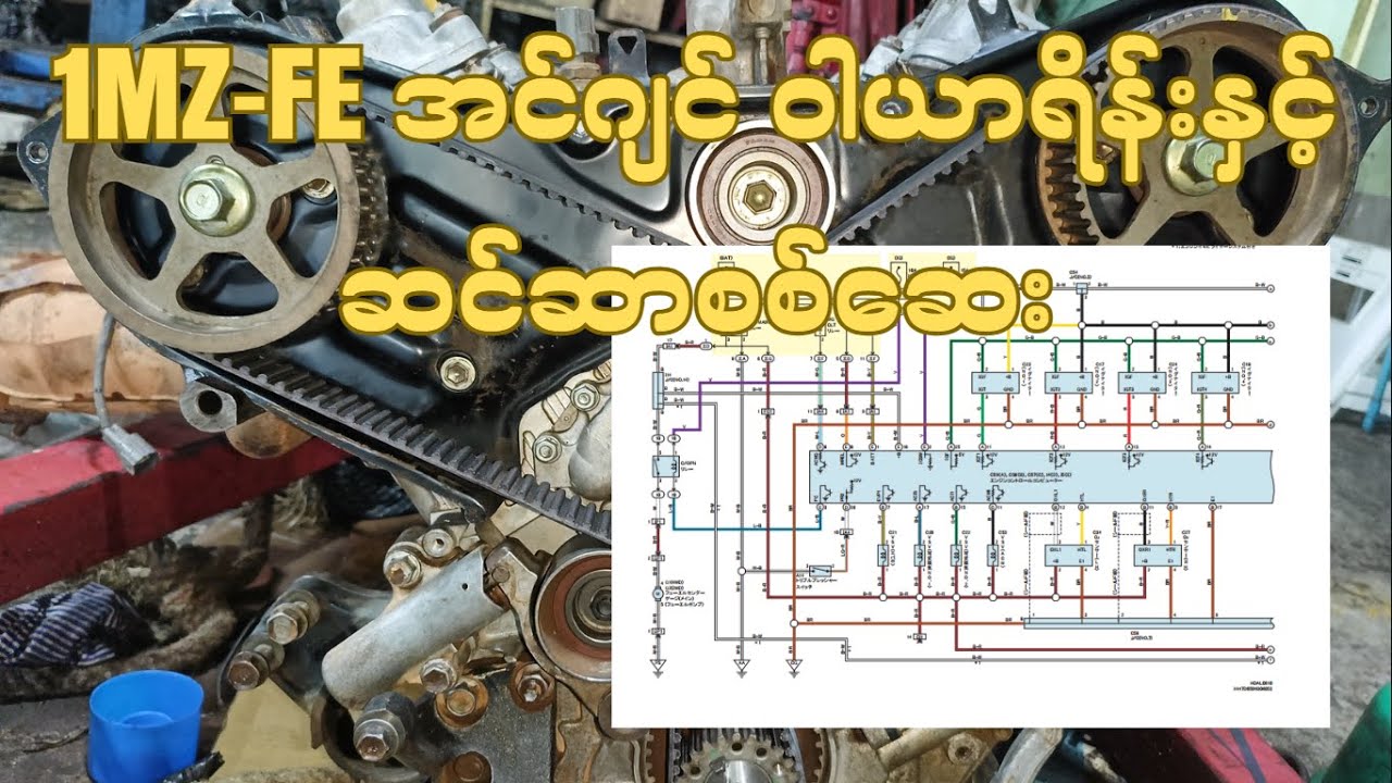 1MZ FE Engine Sensor & Wiring