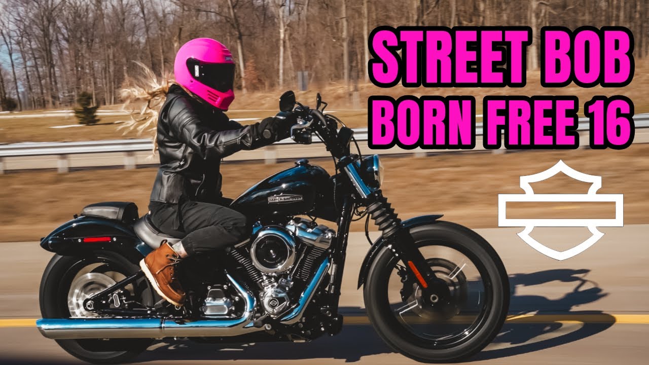 Picking Up My 2025 Harley-Davidson Street Bob! | Born Free 16 Build Begins
