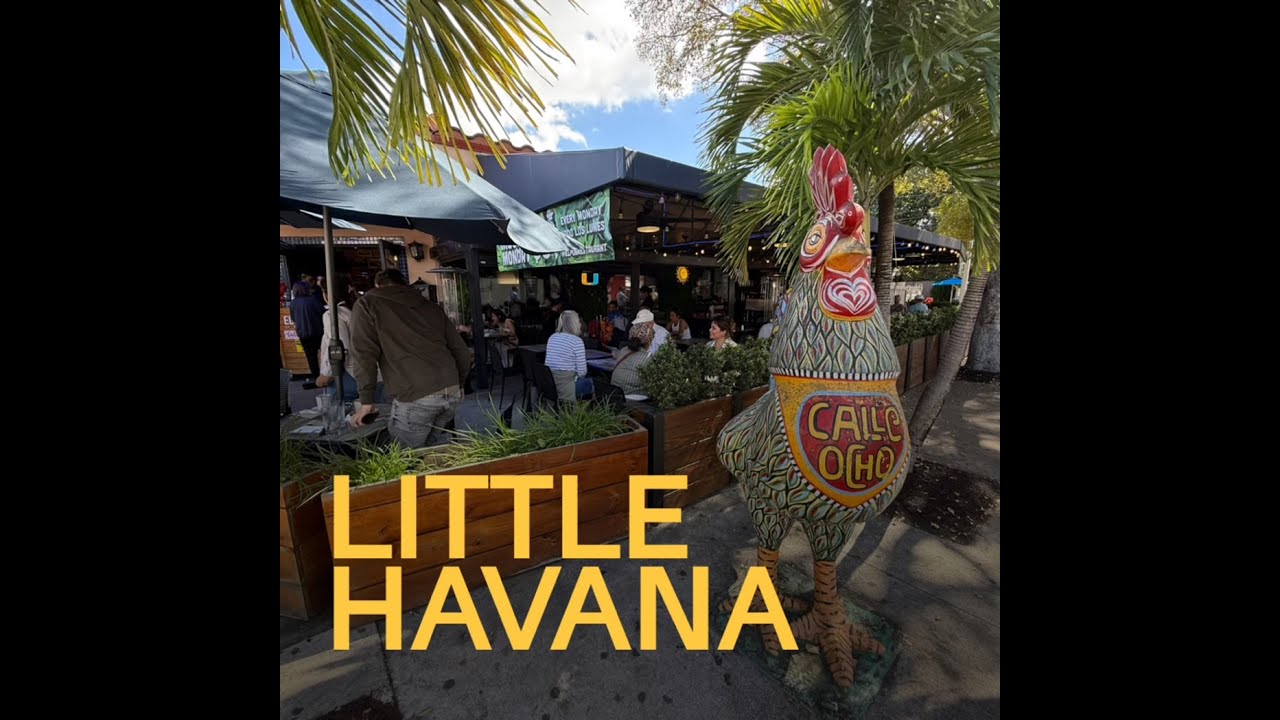 Miami World Cup - Little Havana