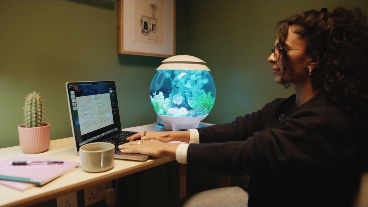 Add Balance to Your Home ⎸ biOrb Aquariums