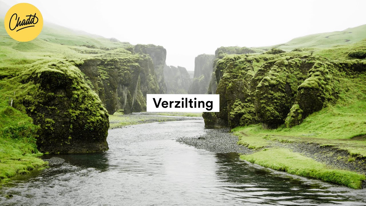 Verzilting: wat is het en hoe ontstaat het? - Mr. Chadd Academy