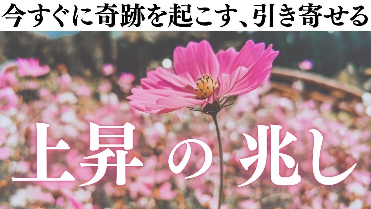 【幸運が流れ込み運気上昇の波に乗る】運気が上がるとき、心は軽く、呼吸が深くなります。あなたの中の上昇エネルギーを、静かに目覚めさせましょう。