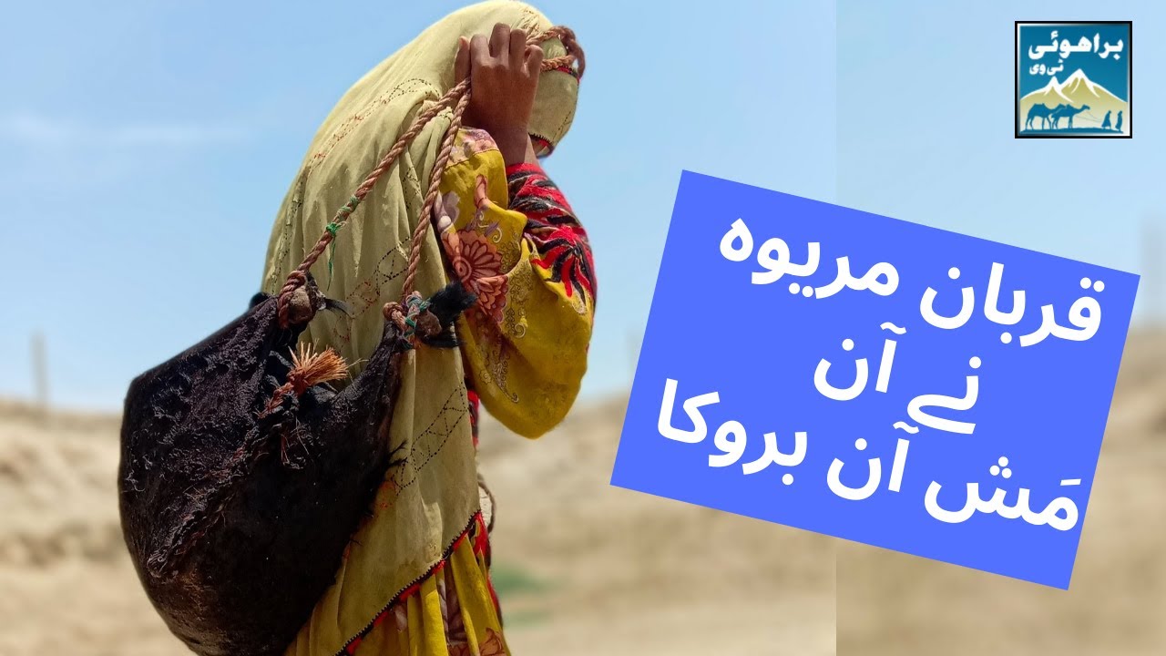 Brahui Folk Song | Murad Parkoi | مراد پارکوئی | قربان مریوہ نے آن مش آن بروکا