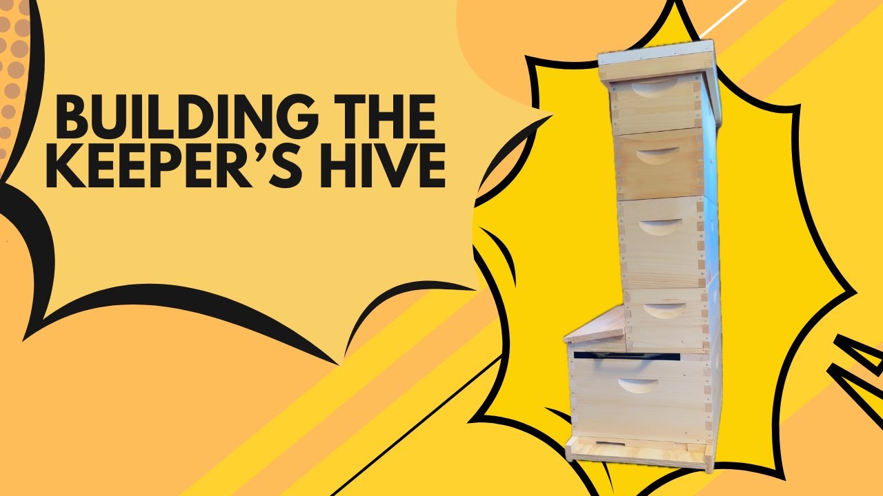 Building The Keeper's Hive