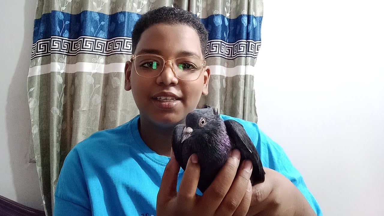 تجديدات جديده عند الحمام