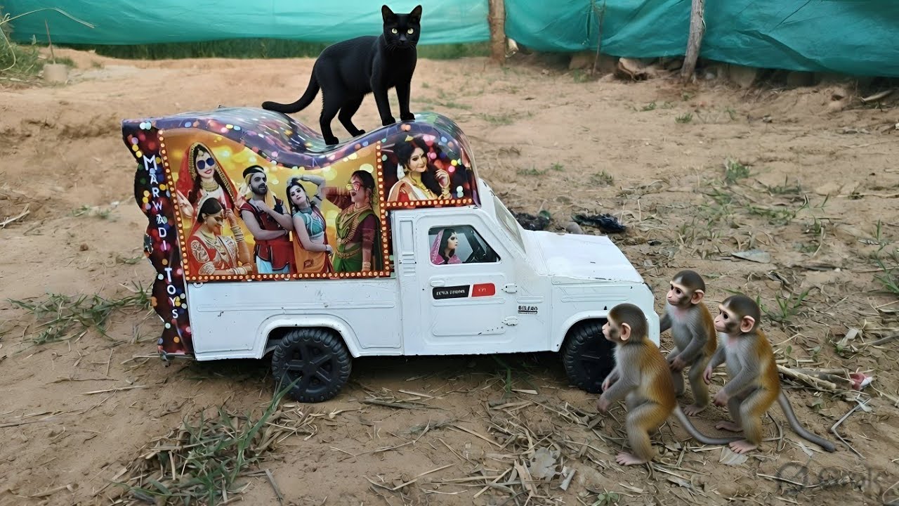 Ramu Kaka Aur Kali Billi Ki Mazedaar Kahani 🐱😂 | Kids Funny Video