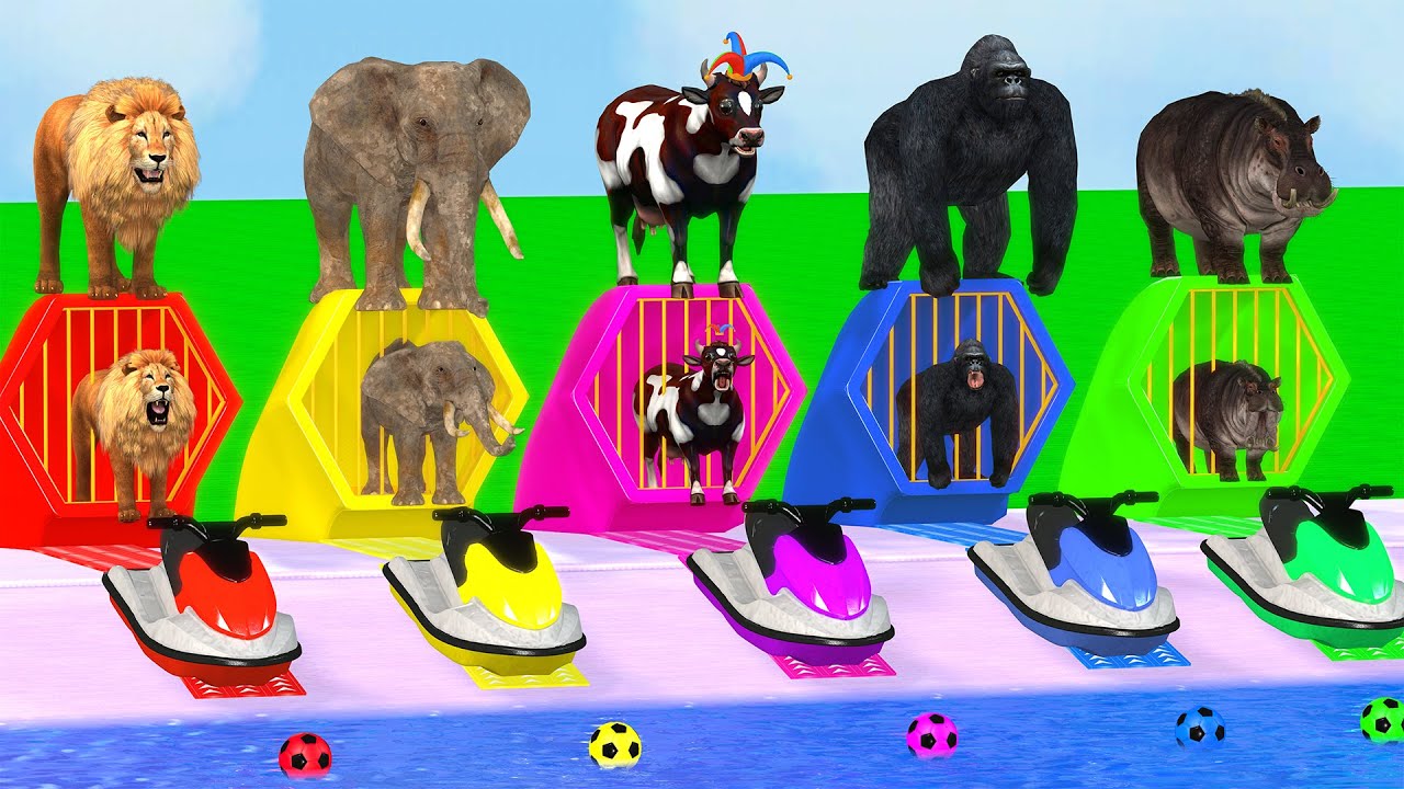 Long Slide Game With Cow Elephant Gorilla Hippopotamus Tiger - 3d Animal Game - Funny 3d Animals