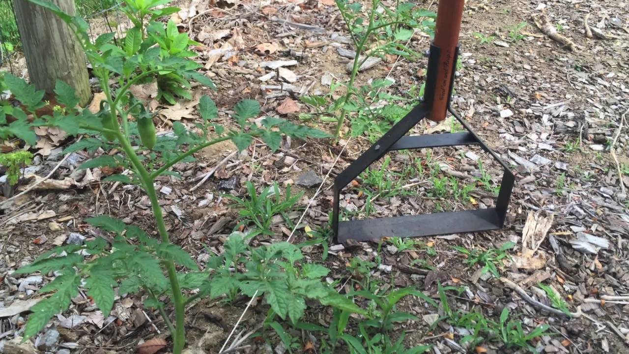 11 Inch Hoe da Row   Garden Weeder