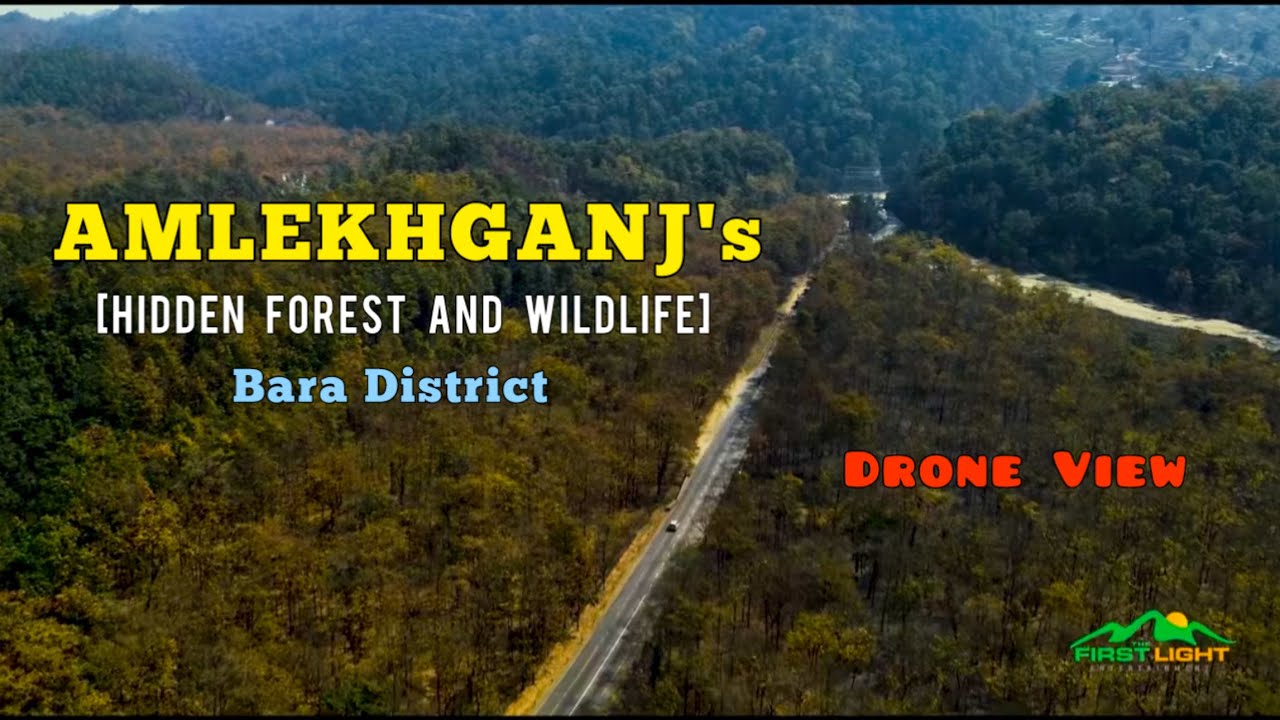 Amlekhganj's Hidden Forest & Wildlife | Drone View | Exploring Nepal's Green Heart