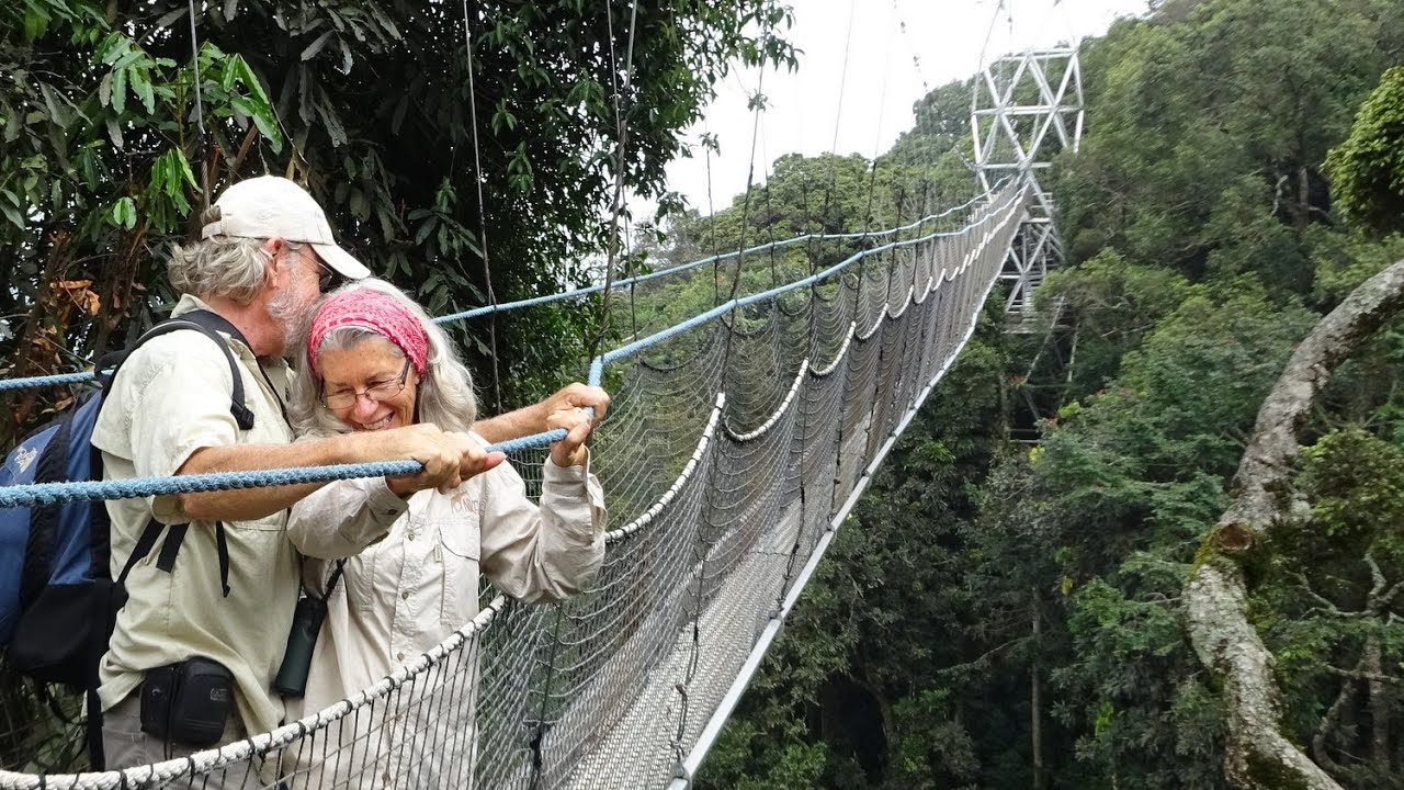 #69 Camping and Hiking in the Nyungwe Rain Forest in Rwanda | Africa Tour 2016-2017