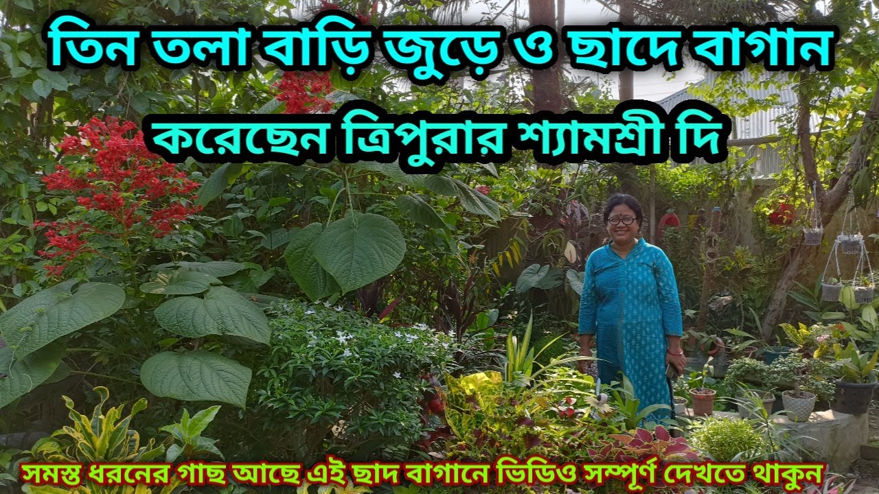 তিন তলা বাড়ি জুড়ে কোন অংশে ফাঁকা নেই সম্পূর্ণ বাড়ি গাছ দিয়ে সাজিয়েছেন ত্রিপুরার শ্যামশ্রী দি