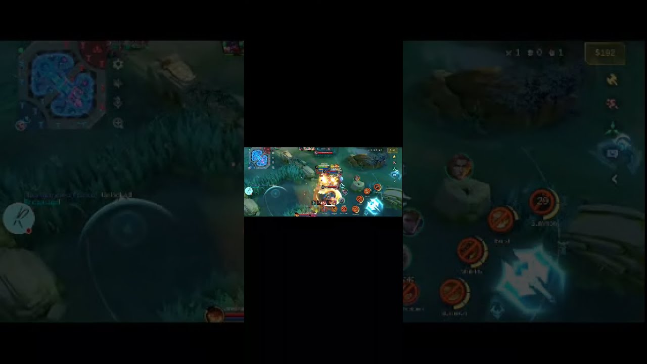 live mlbb