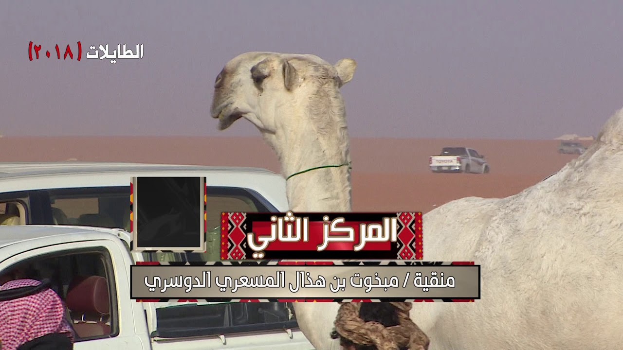 منقية الطايلات للمالك مبخوت بن هذال المسعري الدوسري