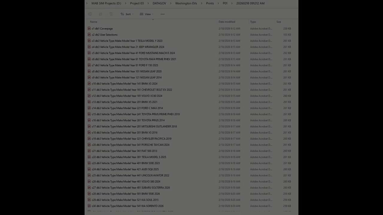 Print P01 Tesla Model Y Seattle Washington