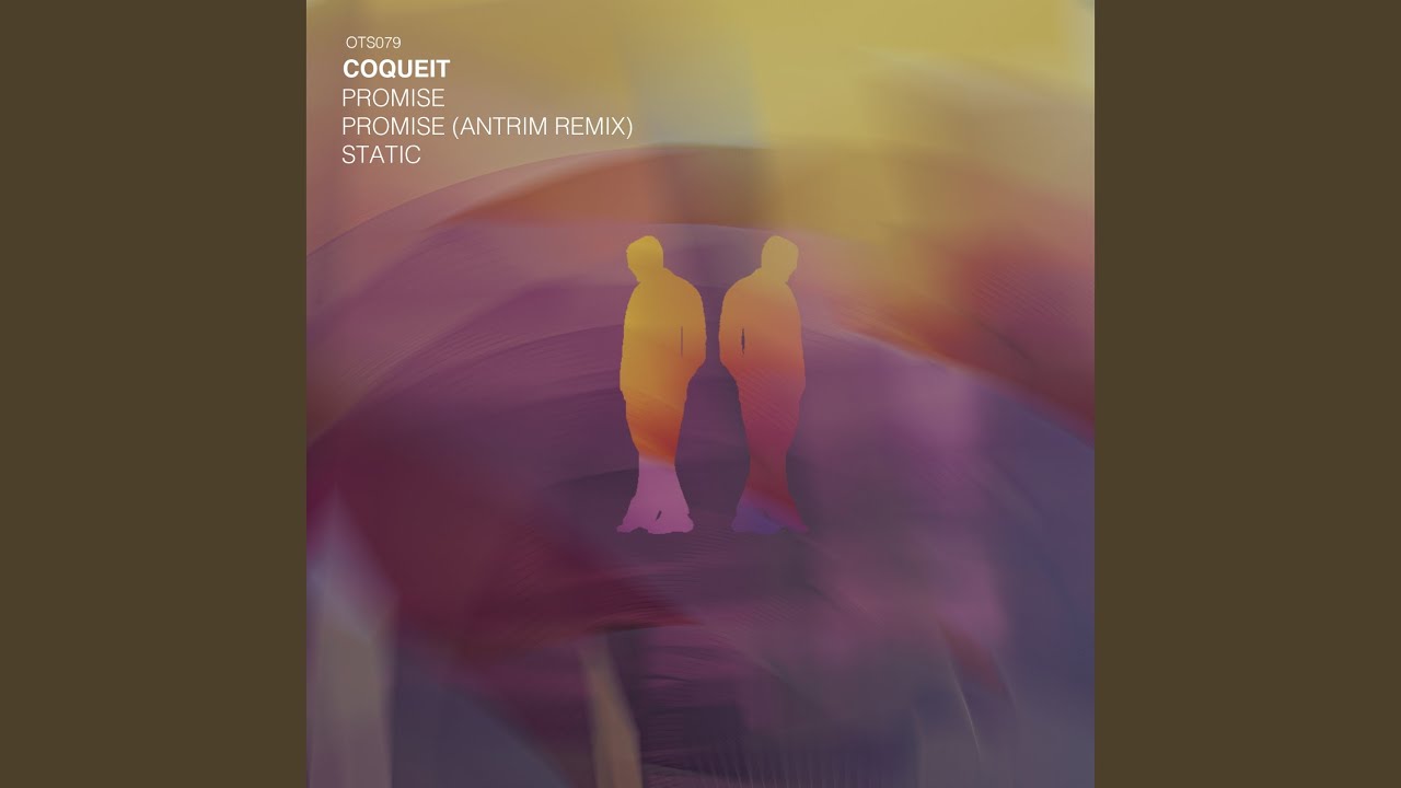 Promise (Antrim Remix)