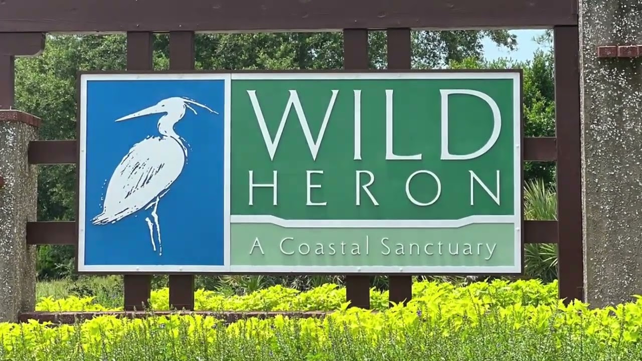 Wild Heron  A Quiet, Stunning Place To Live in Panama City Beach Fl