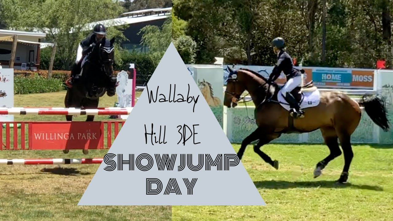 Who won the CHAMPAGNE? Crazy Dancing!! Wallaby Hill 3DE SJ Day