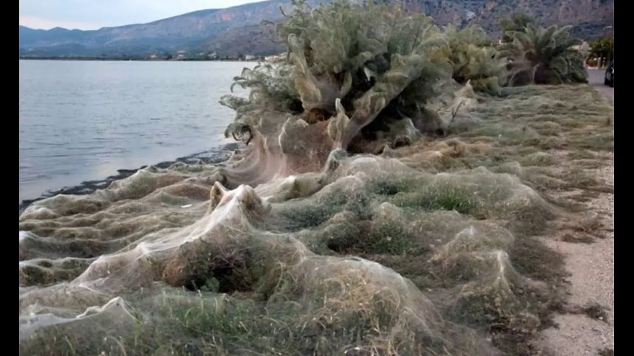 Aitoliko, Etoliko, Etolia-Acarnania, Greece, &Alpha;&iota;&tau;&omega;&lambda;&iota;&kappa;&omicron;ύ