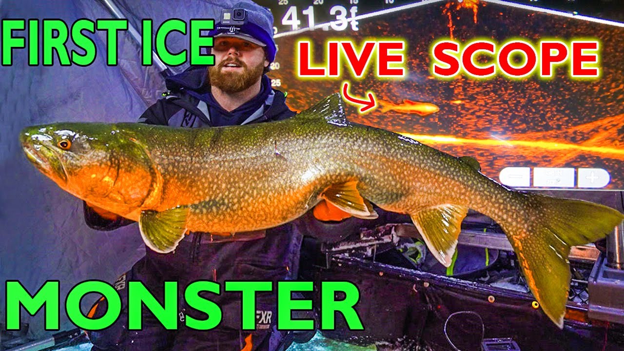 First ice fishing MONSTER Lake Trout on Live Scope - wasn't even hooked! CRAZY ice cracks below me!
