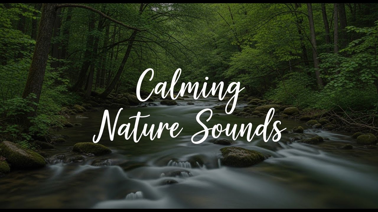 Mountain River White Noise 12 Hours for Deep Sleep and Night Relaxation 🏔️