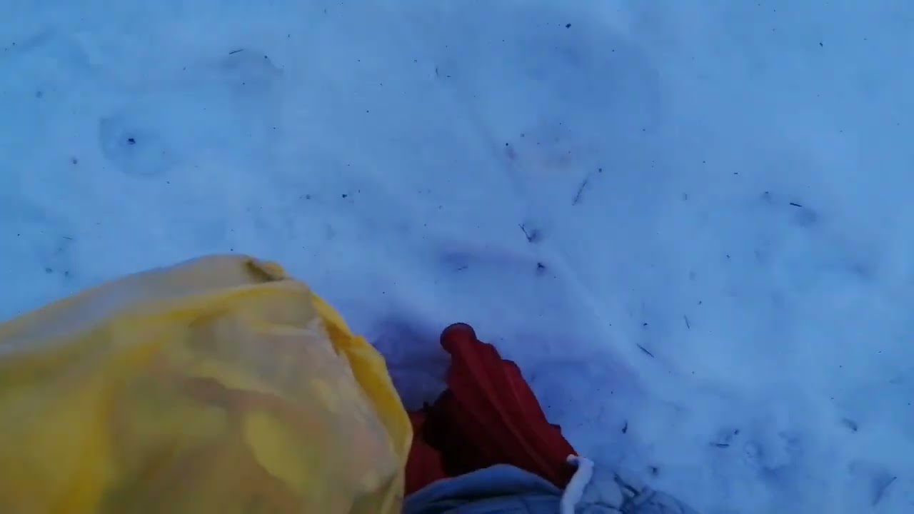 Лепельский военный санаторий. Весенняя прогулка.