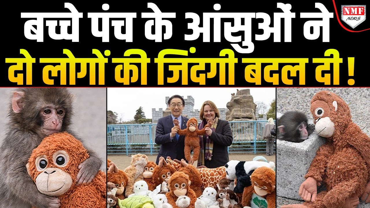 यूं ही नहीं कहते… बच्चे भगवान का रूप होते हैं, PUNCH के आंसुओं ने बदल दी दो लोगों की जिंदगी !