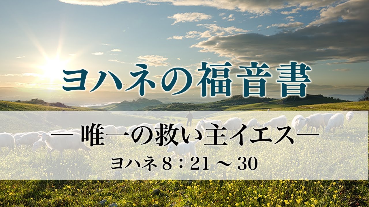 ヨハネの福音書（24）「唯一の救い主イエス」8：21～30