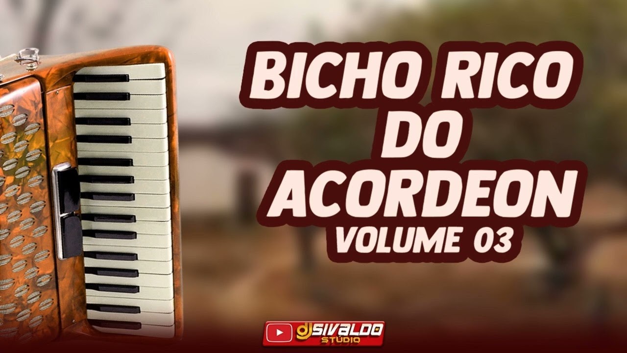 BICHO RICO DO ACORDEON - FORROZÃO PÉ DE SERRA ( VOLUME 03 )