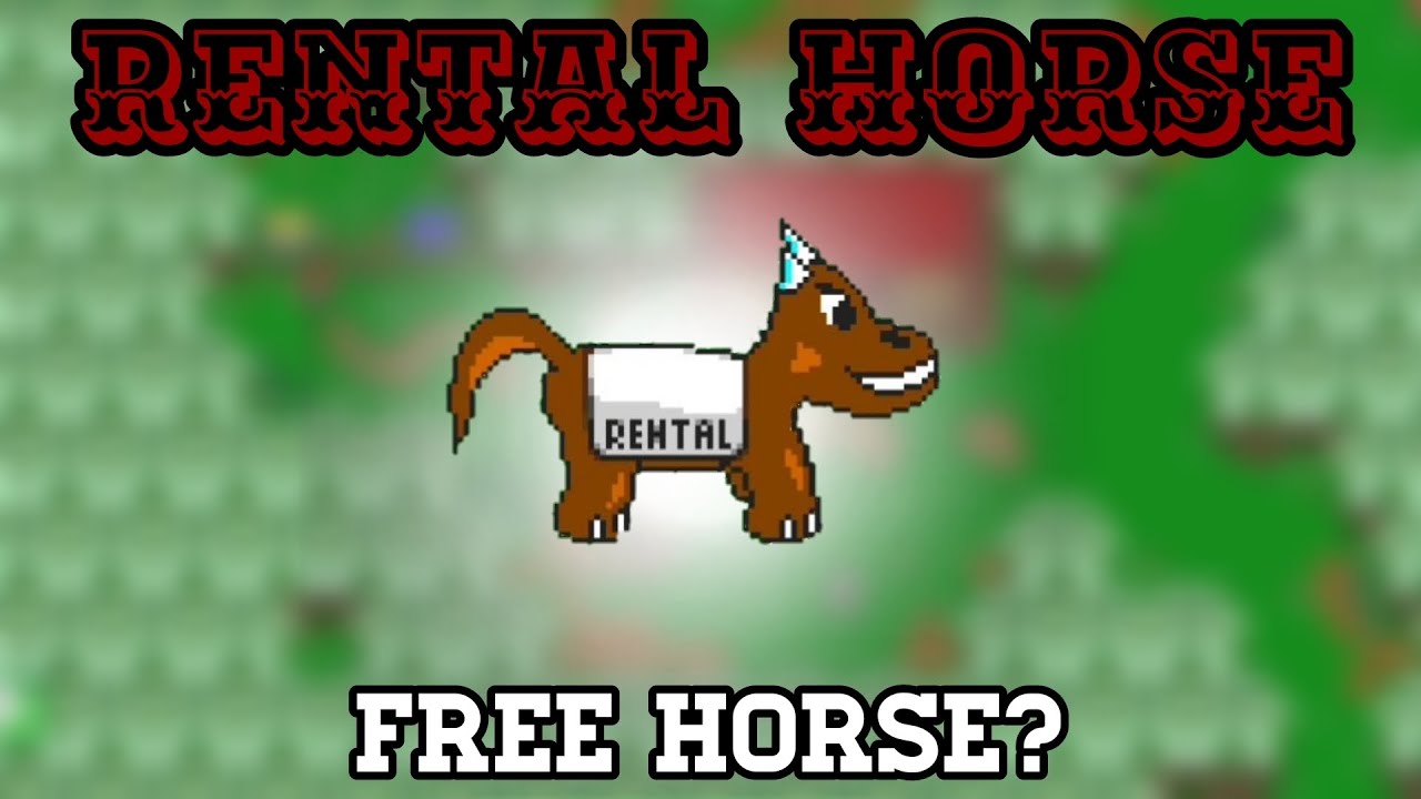 rental horse GUIDE + TIPS! | Graal Classic