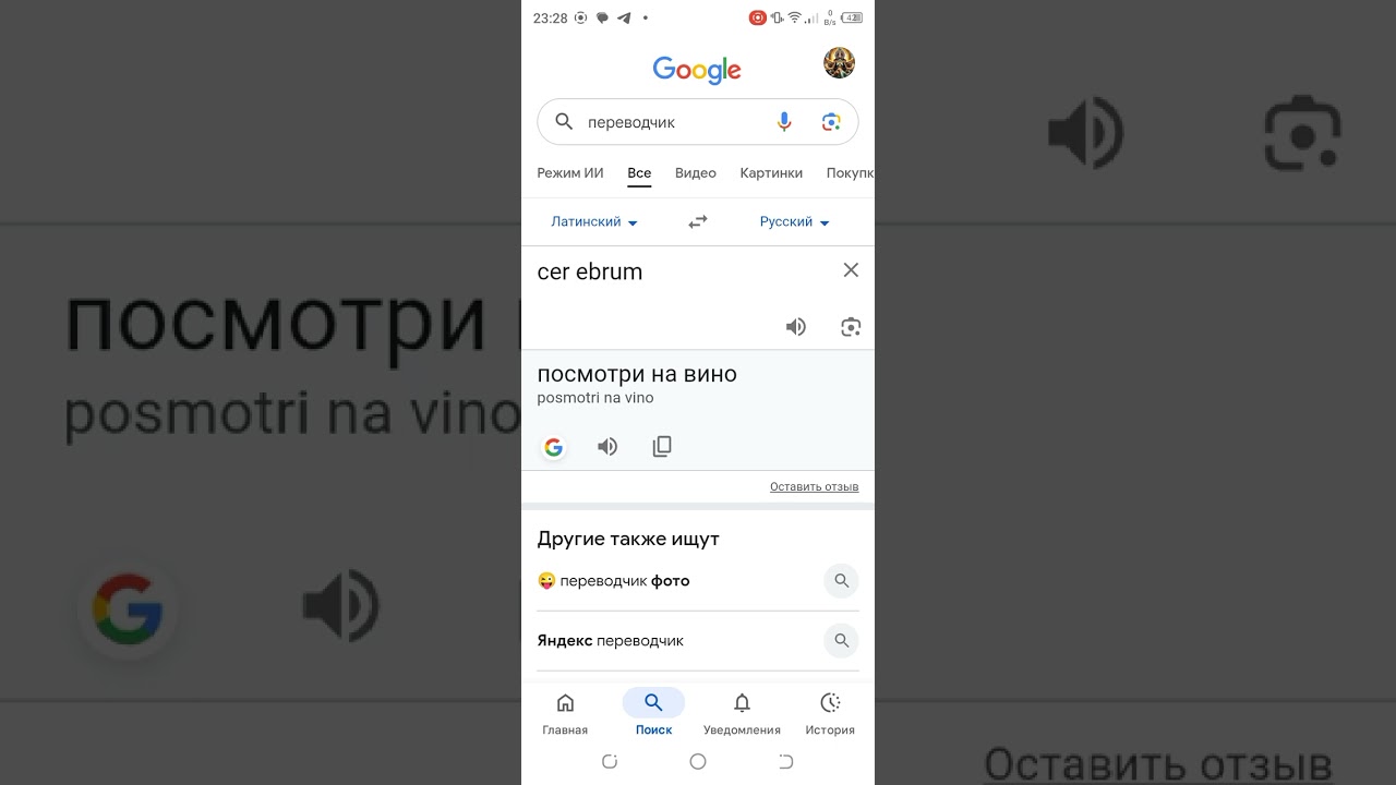 Так что же такое мозг? Неожиданные открытия и разоблачения 