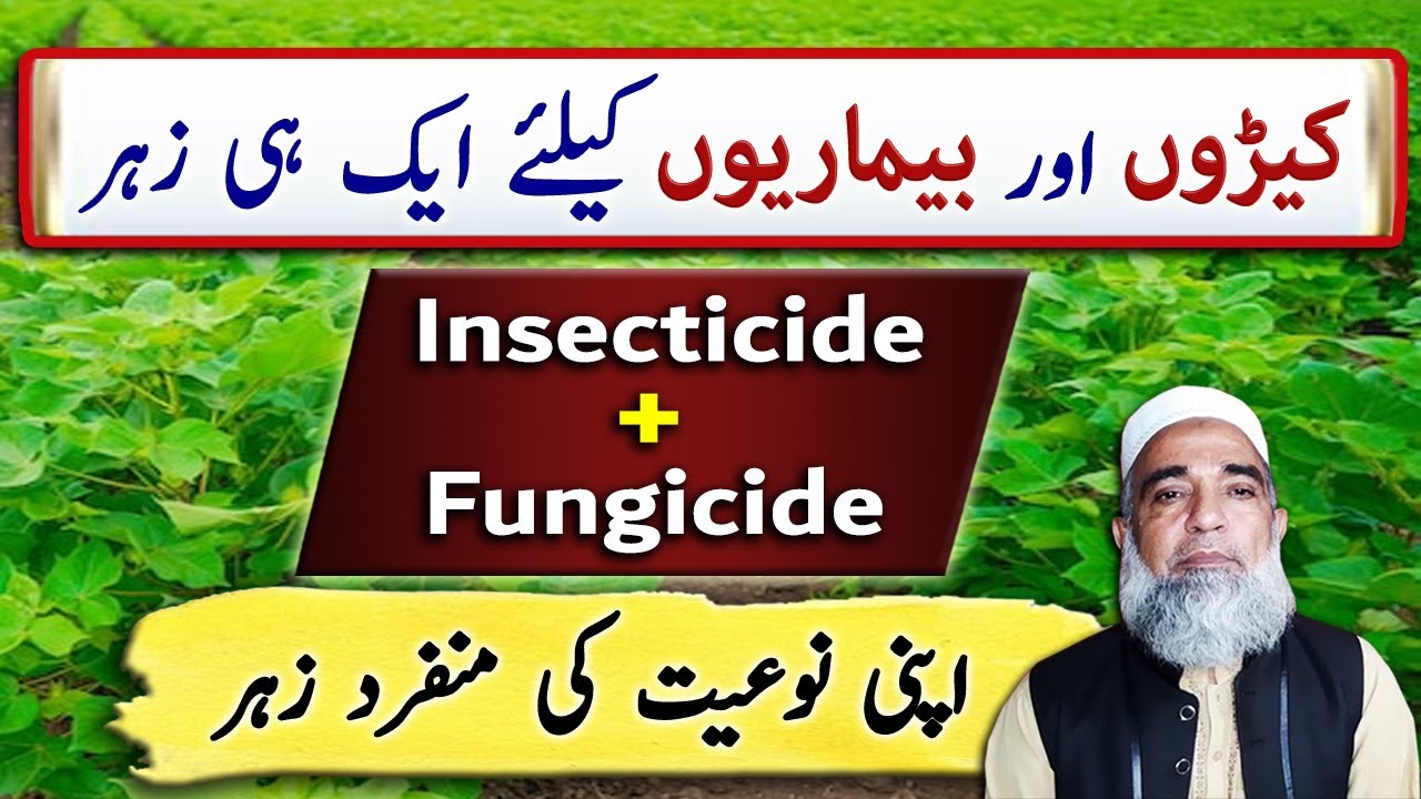 An effective Insecticide + Fungicide for different crops || Crop Reformer