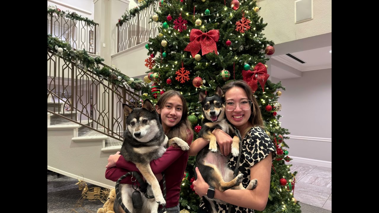 A Family Christmas Road Trip & Back