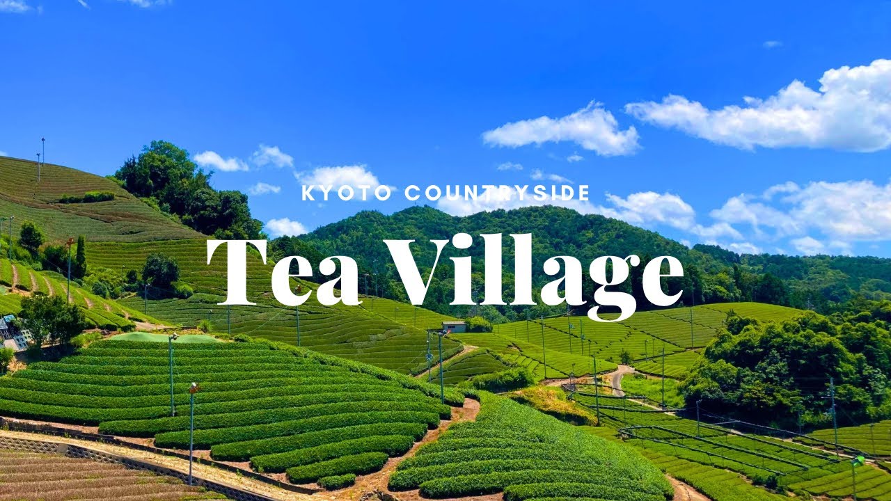 Kyoto's Tea Village. Relaxing walk in the nature-rich countryside of Kyoto.