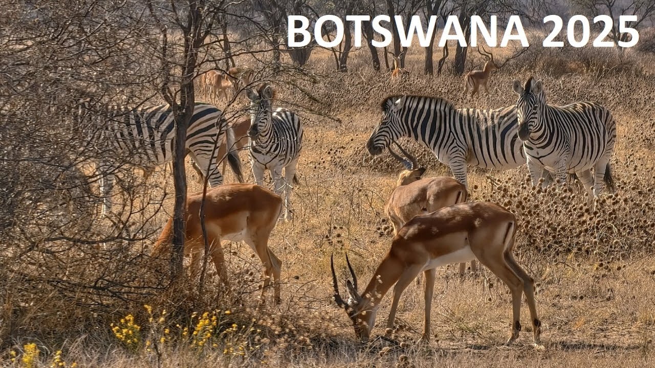 BOTSWANA 2025 [outventure.life]