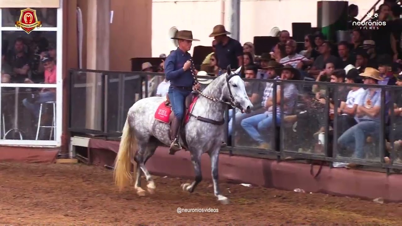 Atena do Escuro Campe&atilde; das Campe&atilde;s Nacional de Marcha Picada 2022