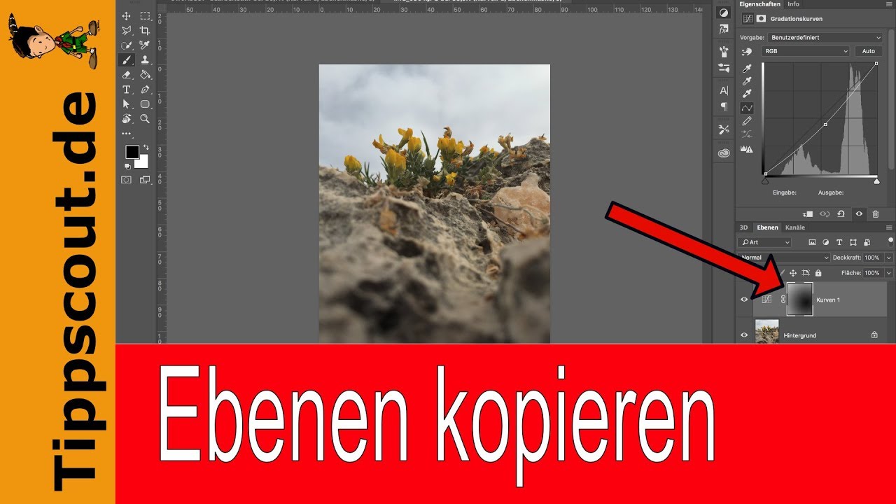 Photoshop Ebenen in anderes Bild kopieren