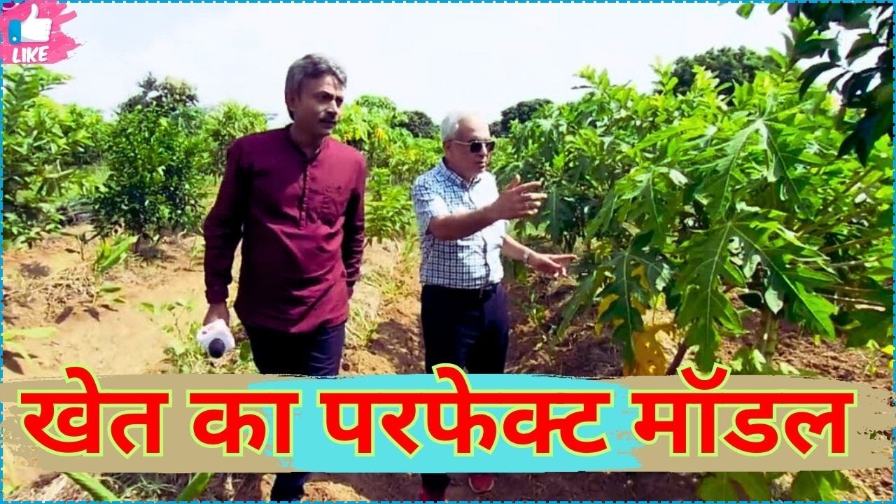 चार अनोखे मॉडल | खेत को बनाया प्रयोगशाला | जंगल मॉडल | सघन बागवानी #kheti #kisan #farm #trending