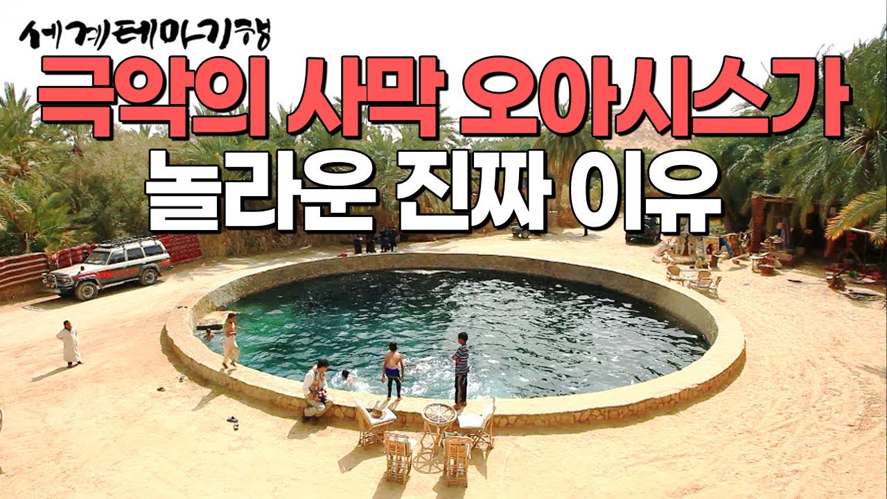 지구상 가장 덥다는 사하라 사막 한가운데 뜬금없는 오아시스.. 사막에서도 도시가 생긴 이유 | 세계테마기행 | #세테깅