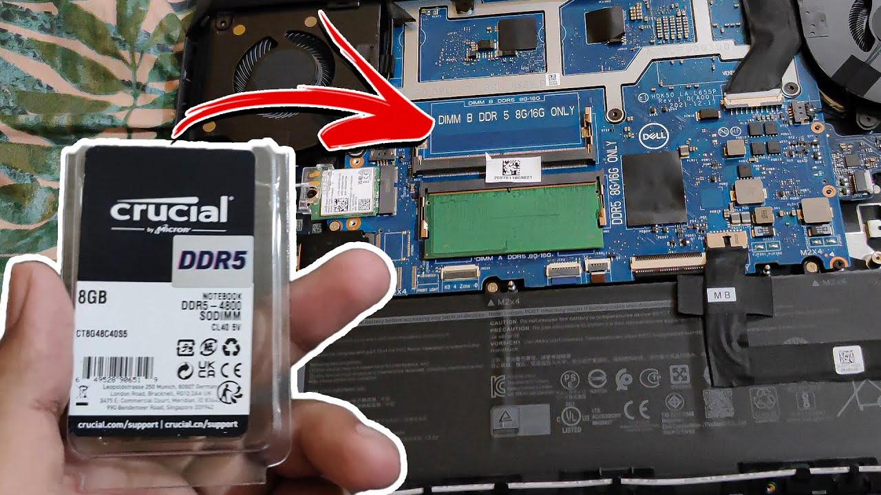 How to Upgrade Laptop Ram from 8GB to 16GB, Laptop DDR5 Ram Upgrade