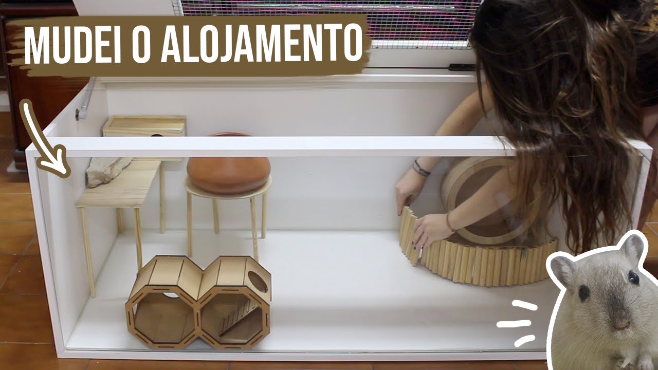 Mudança de alojamento dos meus gerbos